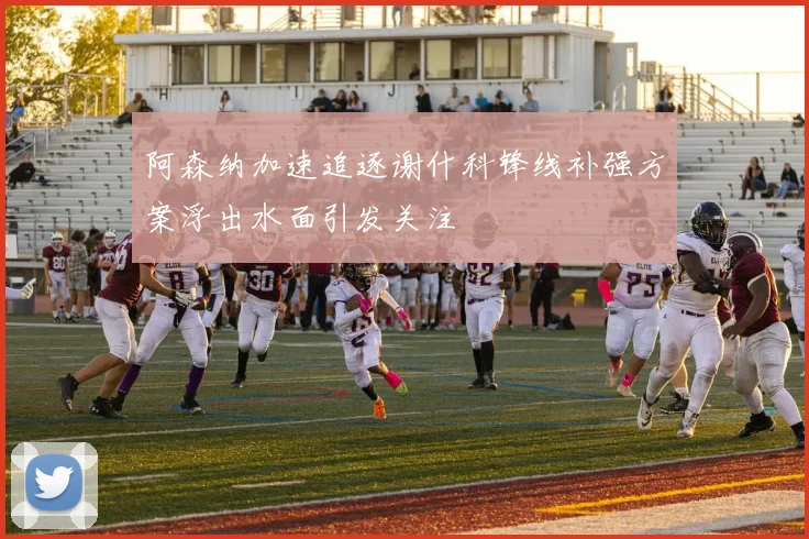阿森纳加速追逐谢什科锋线补强方案浮出水面引发关注