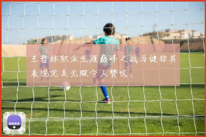 王哲林职业生涯巅峰之战马健称其表现完美无瑕令人赞叹