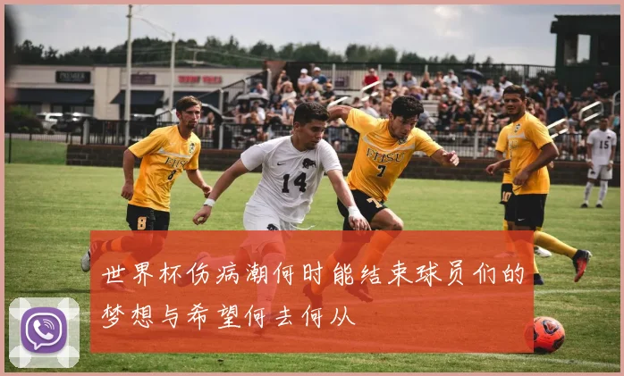 世界杯伤病潮何时能结束球员们的梦想与希望何去何从